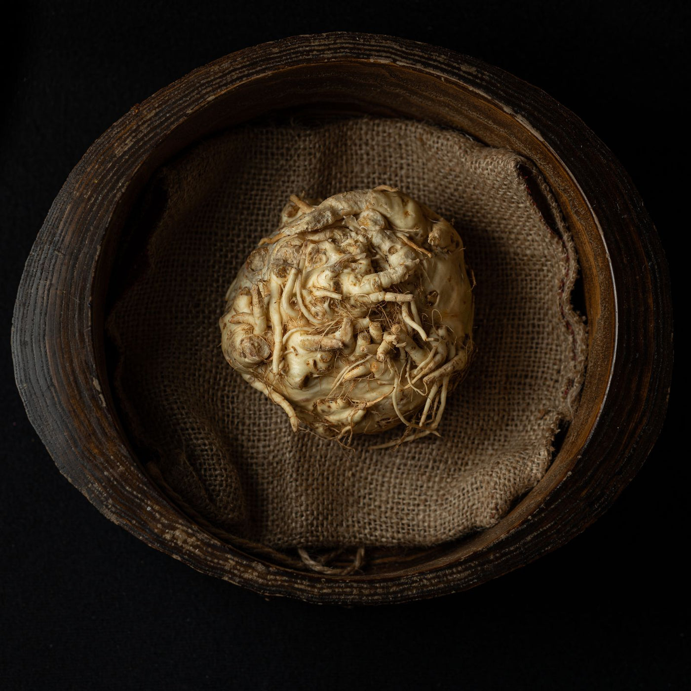 Escena de bienestar relacionada con ashwagandha y menopausia