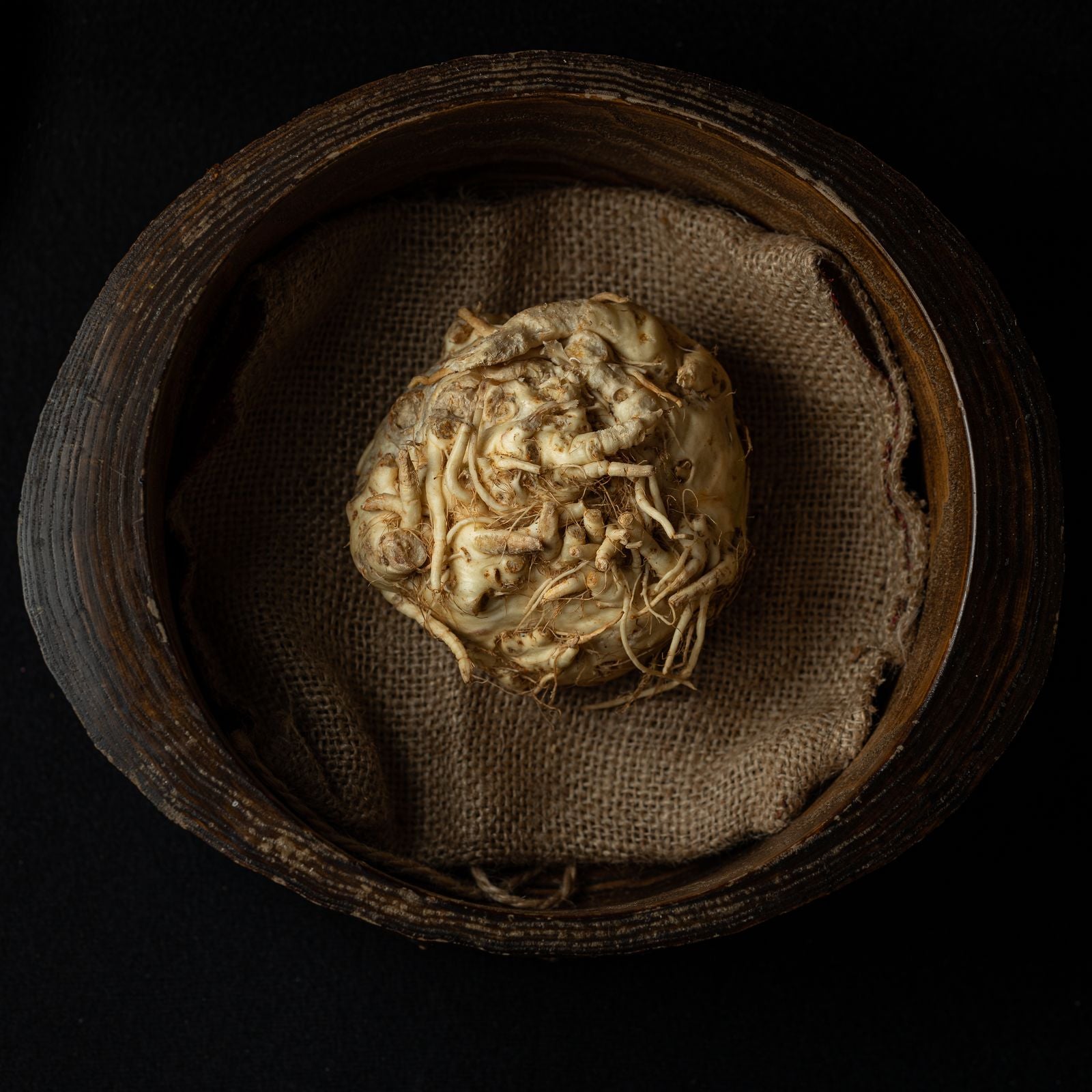 Escena de bienestar relacionada con ashwagandha y menopausia