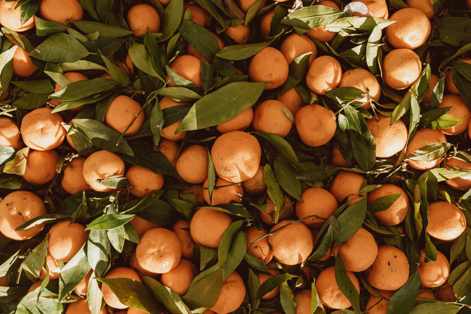 Naranjas con luz natural para una guía sobre vitamina D y menopausia